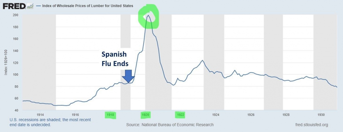 Graph showing the end of the Spanish Flu and index of wholesale prices of lumber