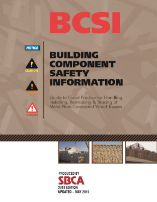 BCSI book cover