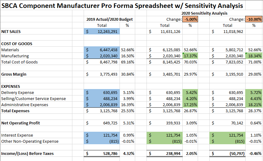 pro forma financial statements template excel